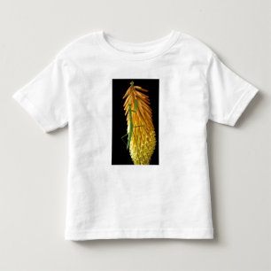 T-shirt Michigan, Rochester Hills. Louva-a-deus no Vermelh