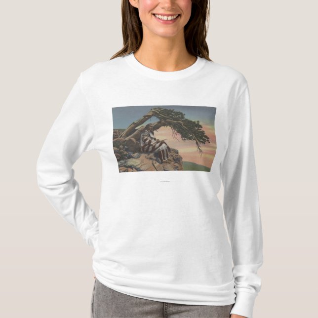 T-shirt Montana - chefe indiano no parque nacional de (Frente)