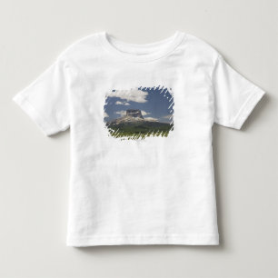T-shirt Montanha principal com os pastos de pastar o gado