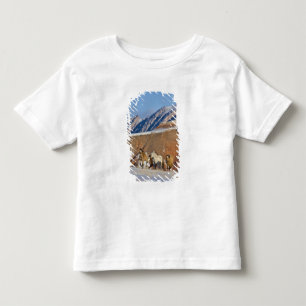 T-shirt Montanhas Big Horn, Cavalos correndo