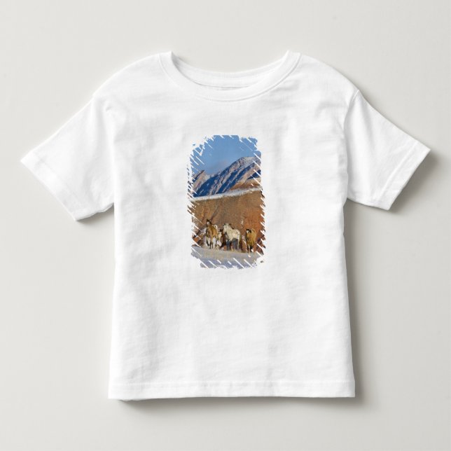 T-shirt Montanhas Big Horn, Cavalos correndo (Frente)