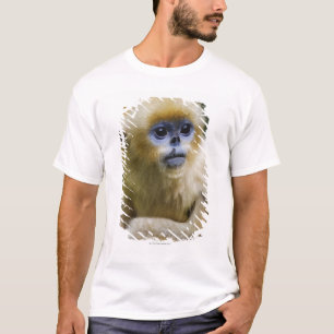 T-shirt Montanhas de Qinling, em outubro de 2006