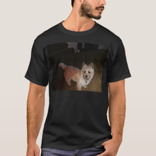 T-shirt Monte de pedras Terrier de Zoe
