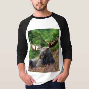 T-Shirt Moose