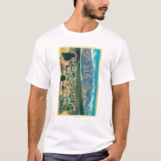 T-shirt Mt. San Jacinto do jardim do diabo (Frente)
