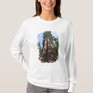 T-shirt Mulher filmando na base de uma Sequóia gigante