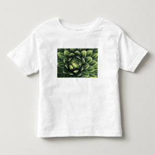 T-shirt N.A., EUA, Arizona, Tucson, Deserto de Sonora