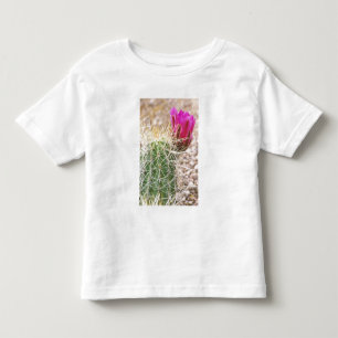 T-shirt N.A., EUA, AZ, Phoenix, Jardim Botânico do Deserto