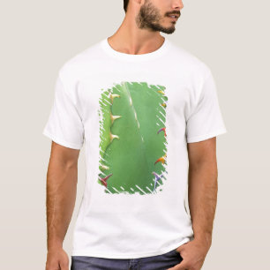 T-shirt N.A., EUA, AZ, Phoenix, Jardim Botânico do Deserto