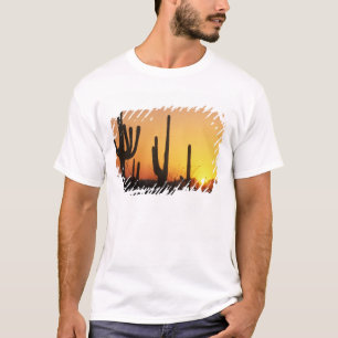 T-shirt N.A., EUA, AZ, Saguaro NP, Saguaro Sunset