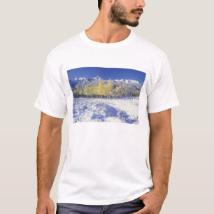 T-shirt N.A., EUA, Colorado, Montanhas San Juan Neve fresc