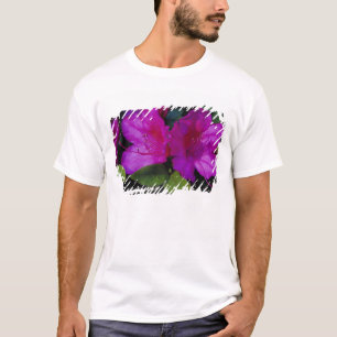 T-shirt N.A. EUA, Geórgia, Savannah. Azaléia em flor.