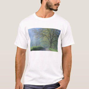 T-shirt N.A., EUA, Tennessee, Parque Nacional Smokey Mts.,