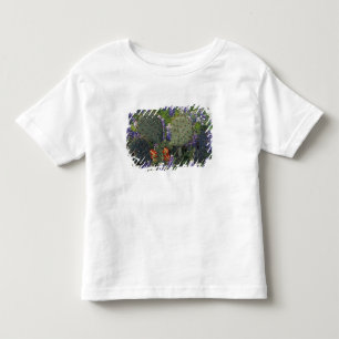 T-shirt N.A., EUA, Texas, Cacto rodeado por