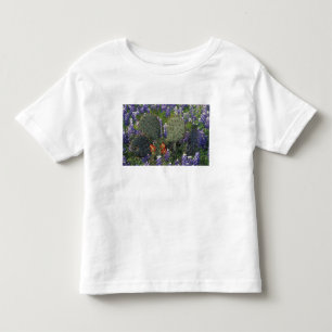 T-shirt N.A., EUA, Texas, Cacto rodeado por