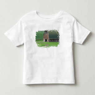 T-shirt N.A., EUA, Washington, Condado de Whitman. Antigo