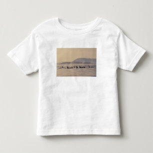 T-shirt N.A., EUA, Washington, Ilhas San Juan Orca