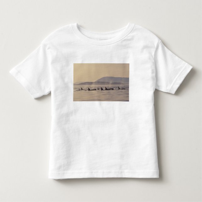 T-shirt N.A., EUA, Washington, San Juan Islands Orca (Frente)