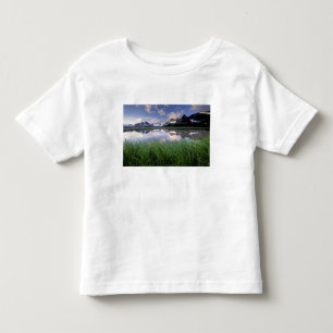 T-shirt NA, Canadá, Alberta, Tonquin Valley. Jasper