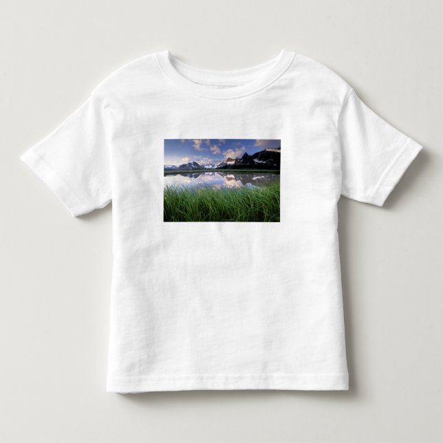 T-shirt NA, Canadá, Alberta, Tonquin Valley. Jasper (Frente)