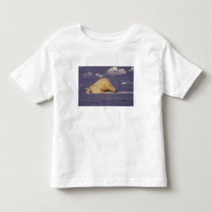 T-shirt NA, Canadá, Manitoba, Churchill, Urso polar