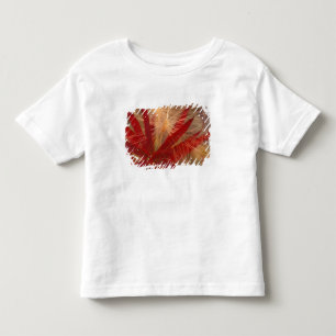 T-shirt NA, EUA, Alasca, Denali NP, Fireweed e selvagem