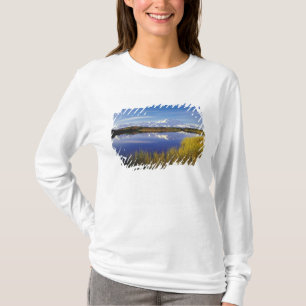 T-shirt NA, EUA, Alasca, Denali NP Mt. McKinley em