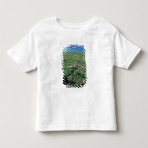 T-shirt NA, EUA, Alasca, Ilha Aleutiana, Cênica com