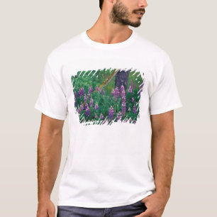 T-shirt NA, EUA, Alasca, Ilhas Aleutas, Unalaska,