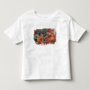 T-shirt NA, EUA, Alasca. Parque Nacional Denali. Bearberry