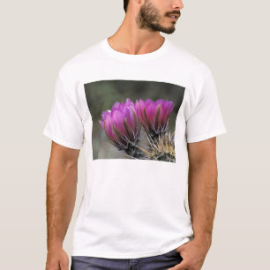 T-shirt NA, EUA, Arizona, Deserto de Sonora. Cacto ouriço-