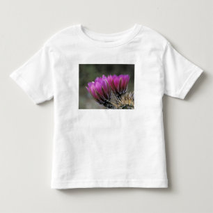 T-shirt NA, EUA, Arizona, Deserto de Sonora. Ouriço-cachei