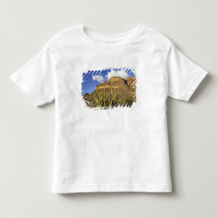 T-shirt NA, EUA, Arizona. Parque Nacional Cacto de Órgão 3