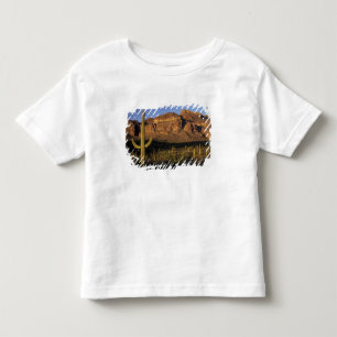 T-shirt NA, EUA, Arizona. Parque Nacional do Cacto Organ P