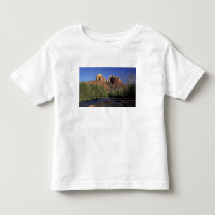 T-shirt NA, EUA, Arizona, Sedona. Cathedral Rock e Oak