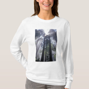 T-shirt NA, EUA, Califórnia. Costa Del Norte Estado