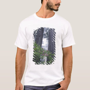 T-shirt NA, EUA, Califórnia. Parque Estadual da Costa Del
