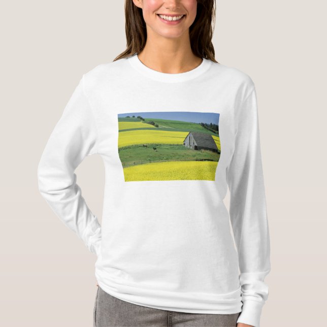 T-shirt NA, EUA, Idaho, perto de Potlatch, Canola e velho (Frente)