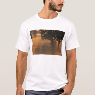 T-shirt NA, EUA, Kentucky. Nascer do sol enevoado no Kentu