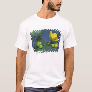 T-shirt NA, EUA, Michigan, Rochester Hills. Pântano