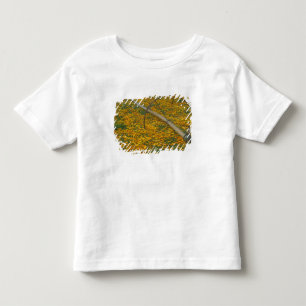 T-shirt NA, EUA, Oregon. Sistema de irrigação em campo de
