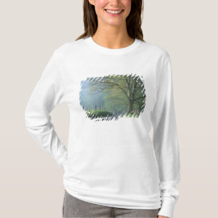 T-shirt NA, EUA, Tennessee, Cades Cove, Grande Smoky