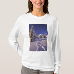 T-shirt NA, EUA, Washington, Mt. Rainier NP, Neve