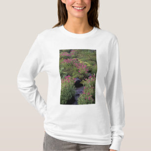 T-shirt NA, EUA, Washington, Mt. Rainier NP, Rosa
