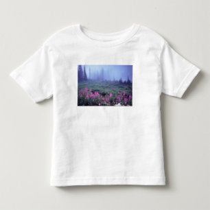 T-shirt NA, EUA, Washington, Prado Alpino Nebuloso, Mt.