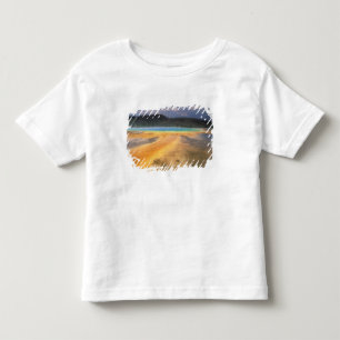 T-shirt NA, EUA, Wyoming, Yellowstone NP, Grand
