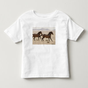 T-shirt Namíbia, Aus. Cavalos selvagens correndo no Namib
