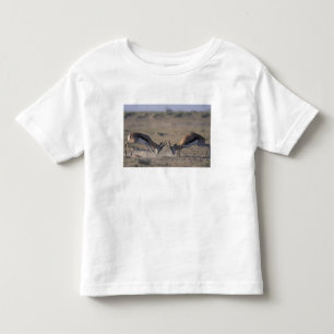T-shirt Namíbia, Parque Nacional Etosha, Dois machos