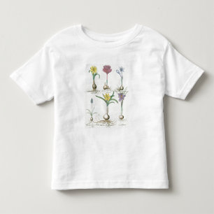 T-shirt Narciso, açafrões e jacinto: autum 1.Narcissus