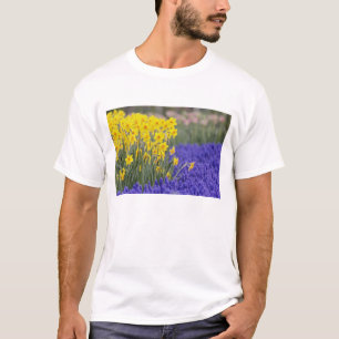T-shirt Narcisos e Jacintos de Uva, Keukenhof 3